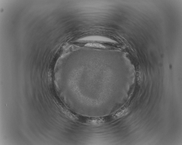 X0000072540466200608041627