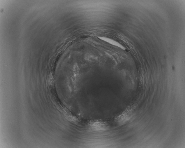 X0000072540467200608041627