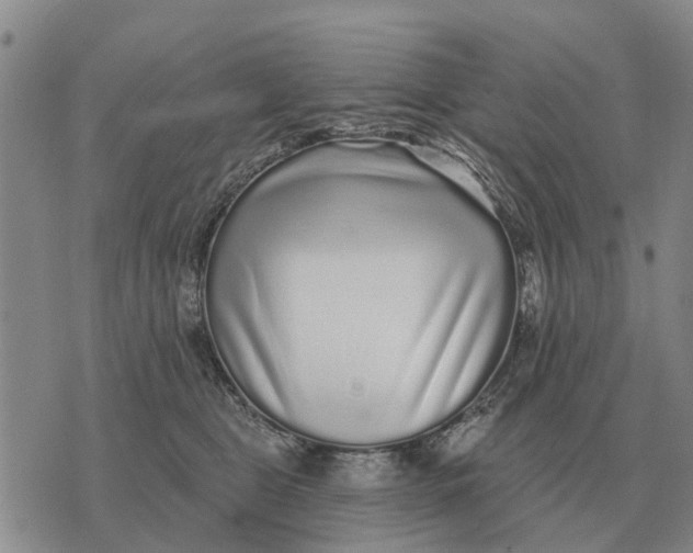 X0000072540469200608041627