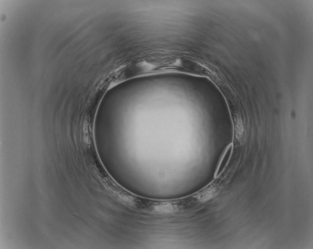 X0000072540470200608041627