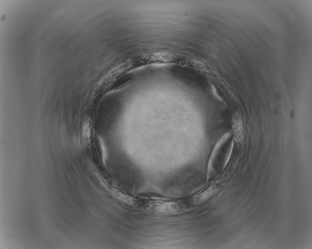 X0000072540472200608041627