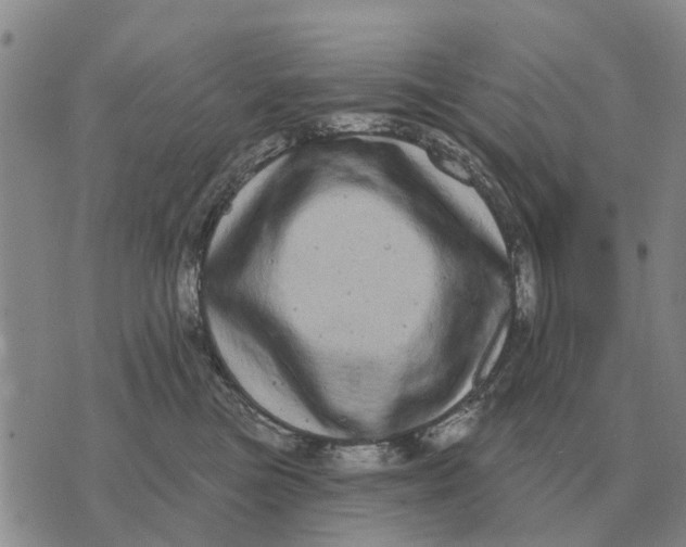 X0000072540473200608041627