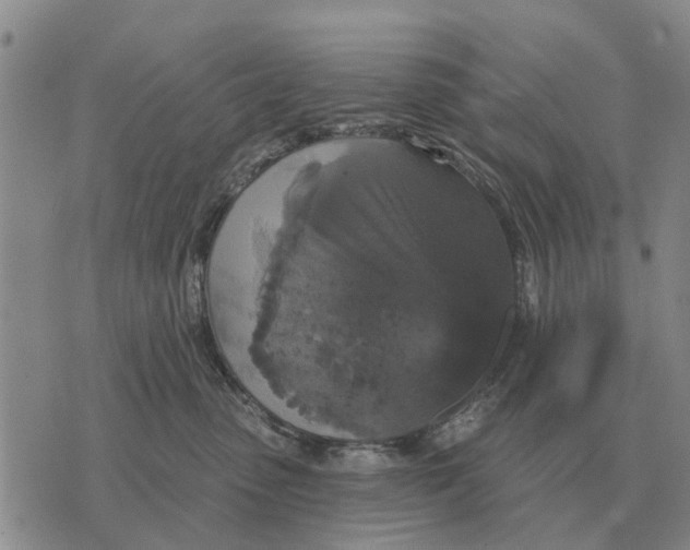 X0000072540475200608041627