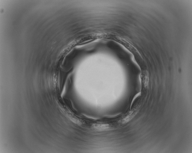 X0000072540476200608041627