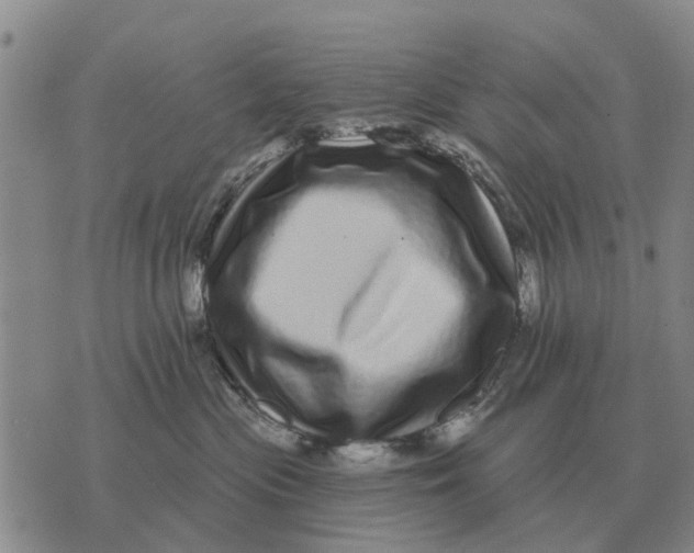 X0000072540477200608041627