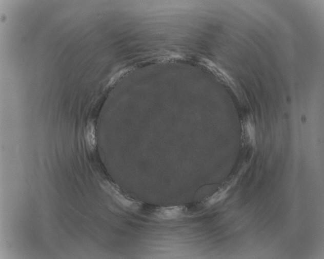 X0000072540479200608041627