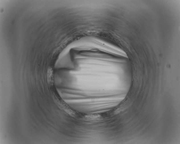 X0000072540480200608041627