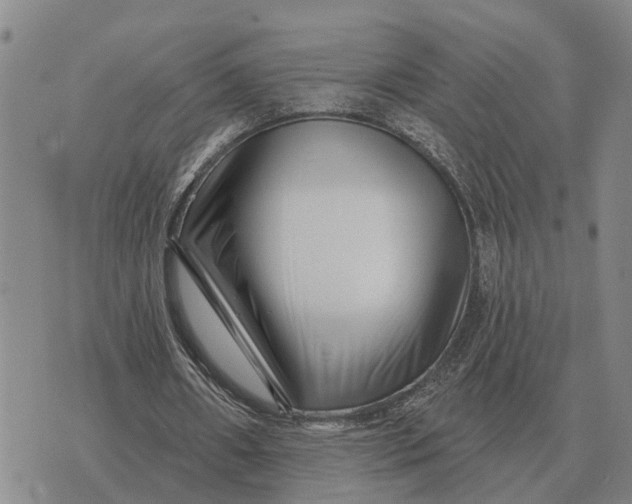 X0000072540482200608041626