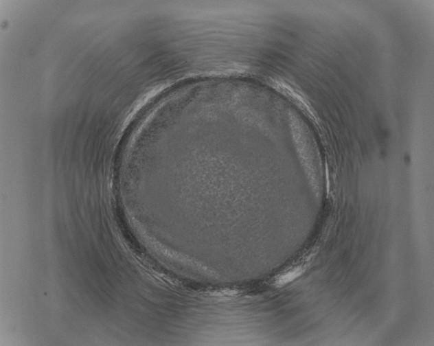 X0000072540483200608041626