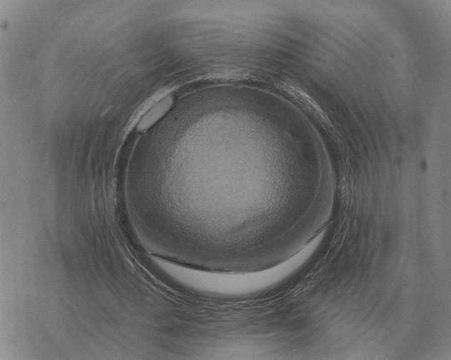 X0000072540484200608041626