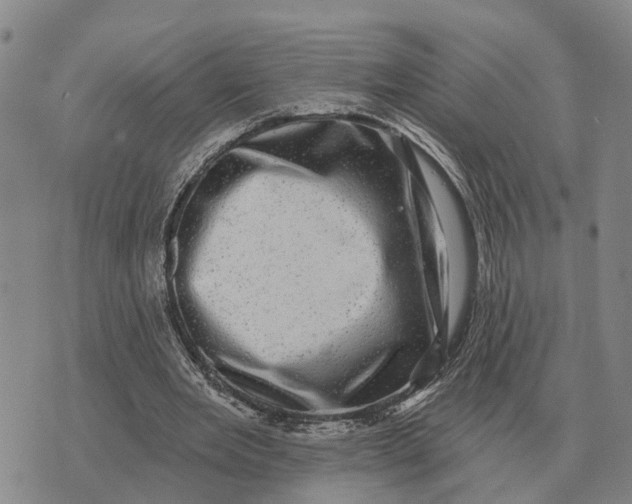 X0000072540485200608041626