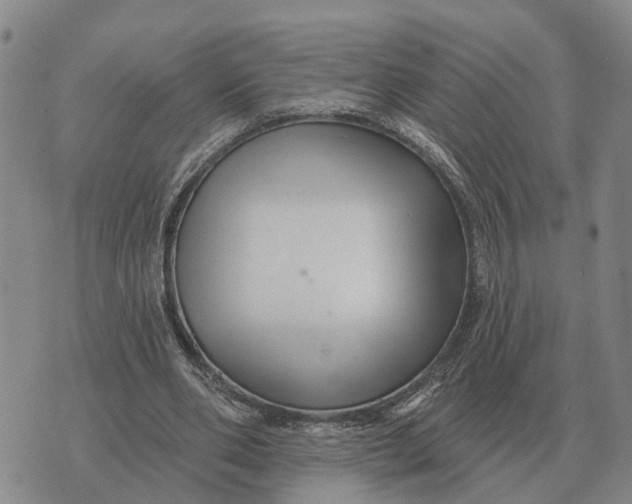 X0000072540486200608041626