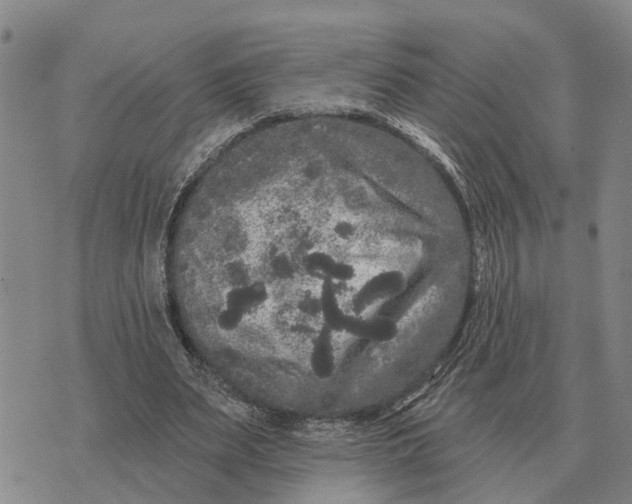 X0000072540487200608041626