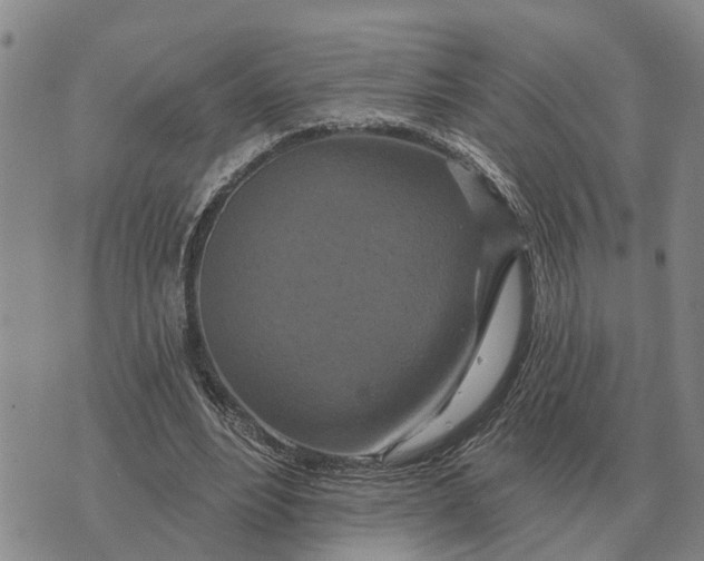 X0000072540488200608041626