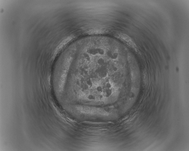 X0000072540491200608041626