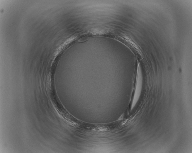 X0000072540492200608041626