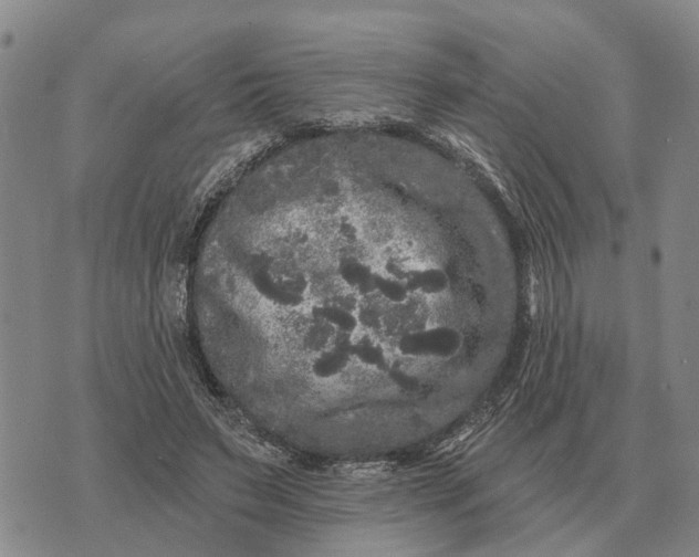 X0000072540495200608041626