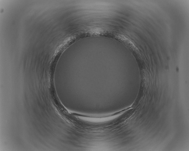 X0000072540496200608041626