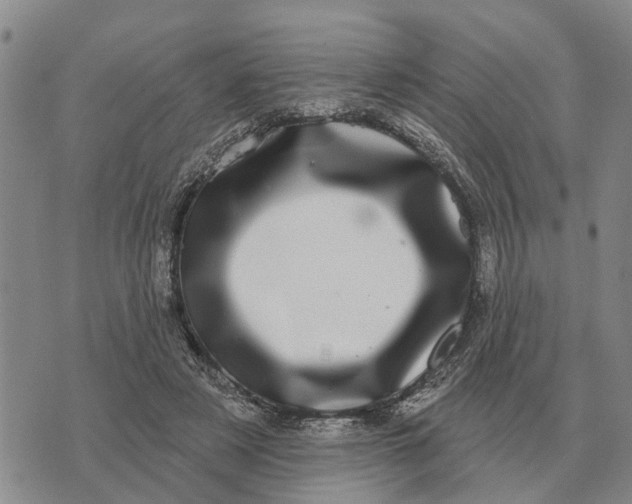 X0000072540497200608041626