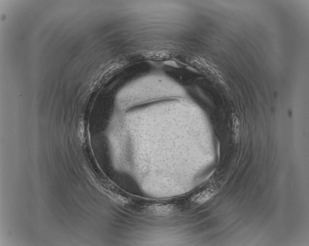 X0000072540498200608041626