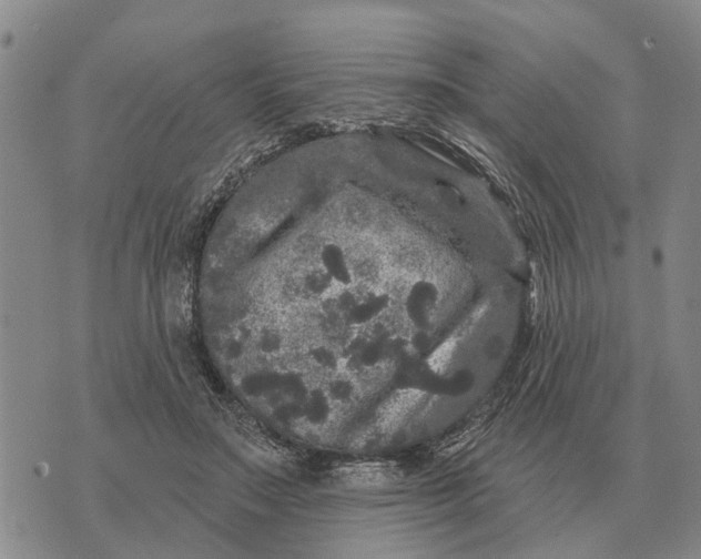 X0000072540499200608041626