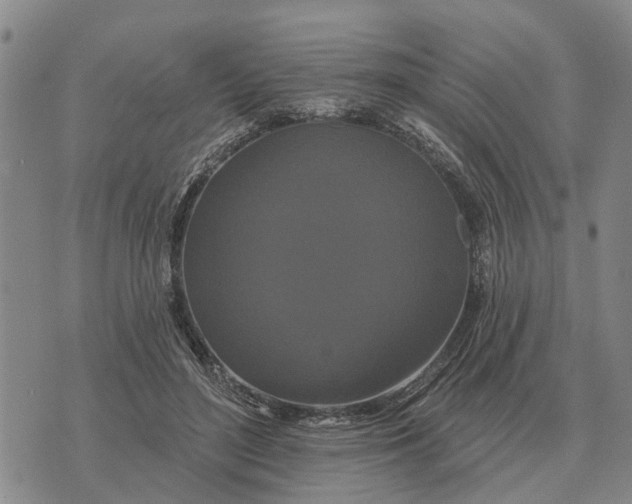 X0000072540500200608041626