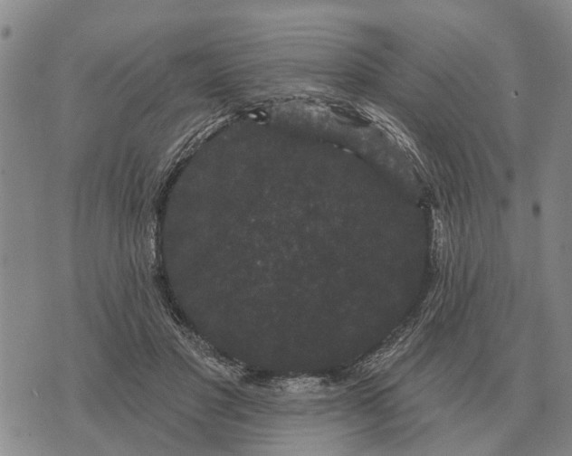 X0000072540501200608041626