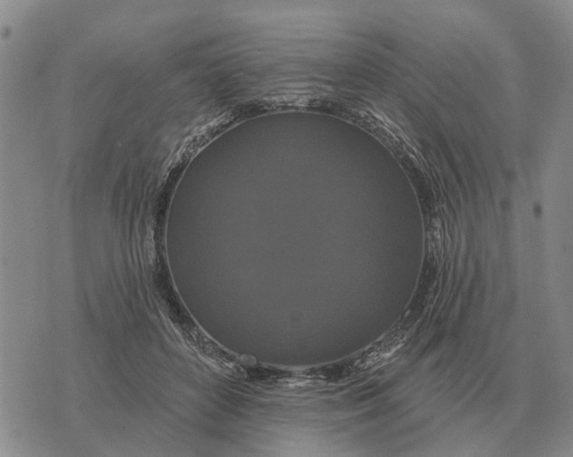 X0000072540504200608041626