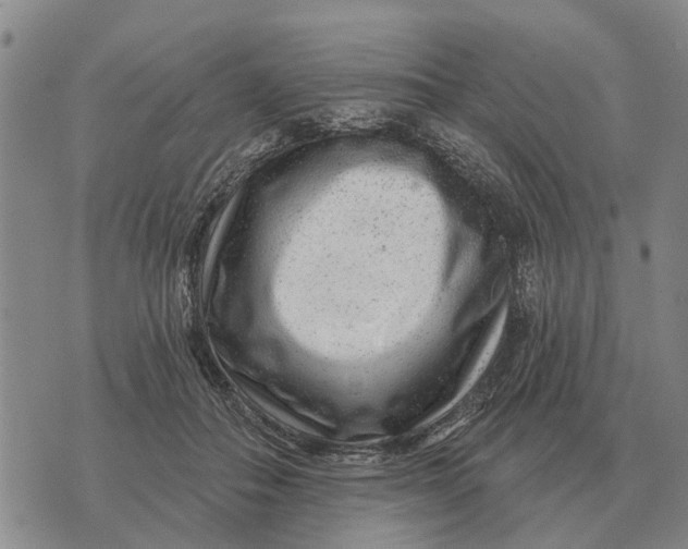 X0000072540506200608041626