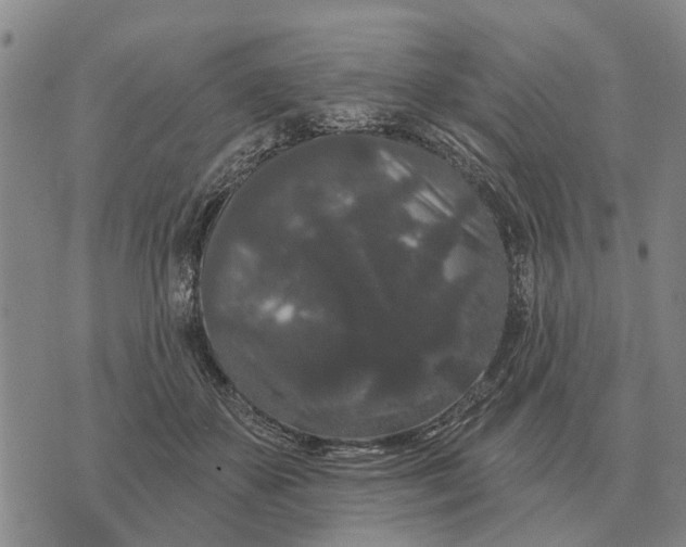 X0000072540507200608041626