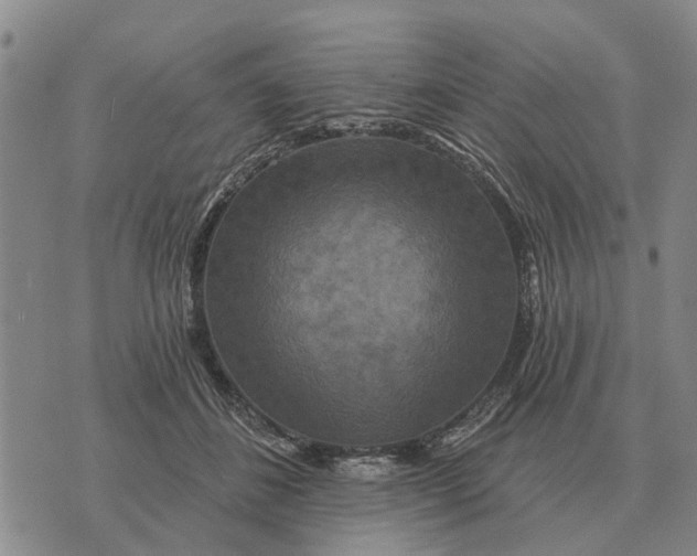 X0000072540508200608041626