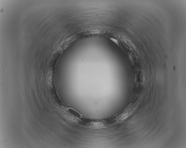 X0000072540509200608041626