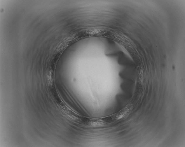 X0000072540510200608041626