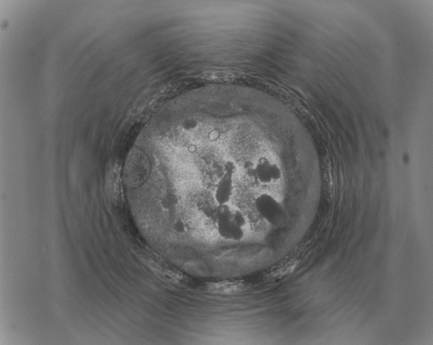 X0000072540511200608041626