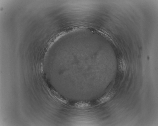 X0000072540512200608041626