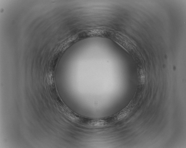 X0000072540514200608041626