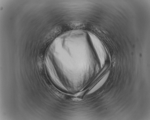 X0000072540515200608041625