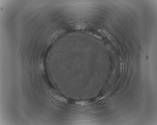 X0000072540516200608041625