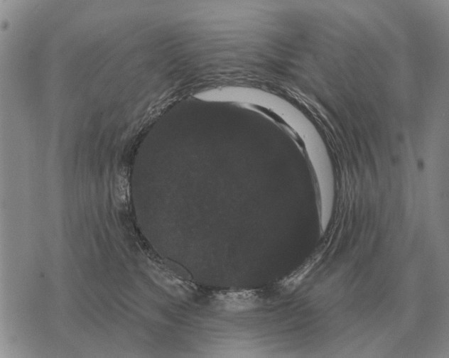 X0000072540517200608041625