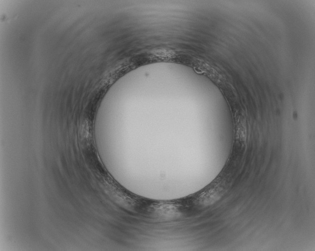 X0000072540518200608041625