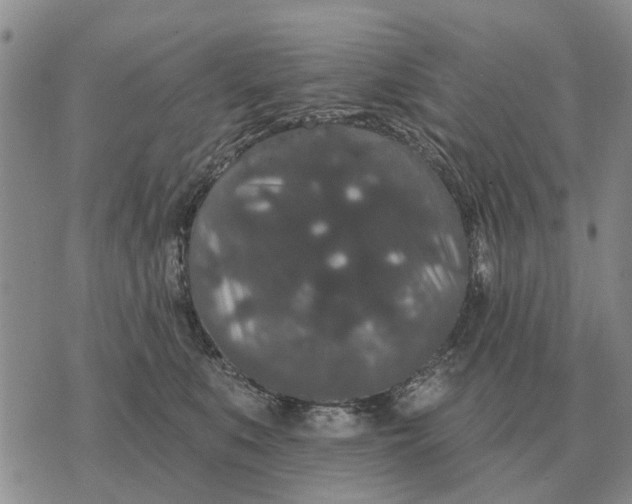 X0000072540519200608041625