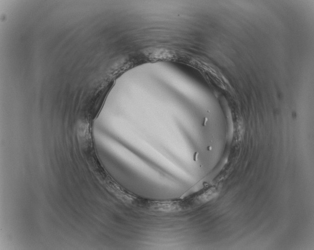 X0000072540521200608041625