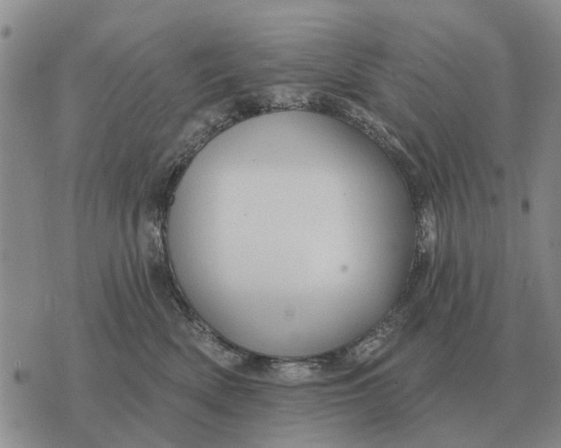 X0000072540522200608041625