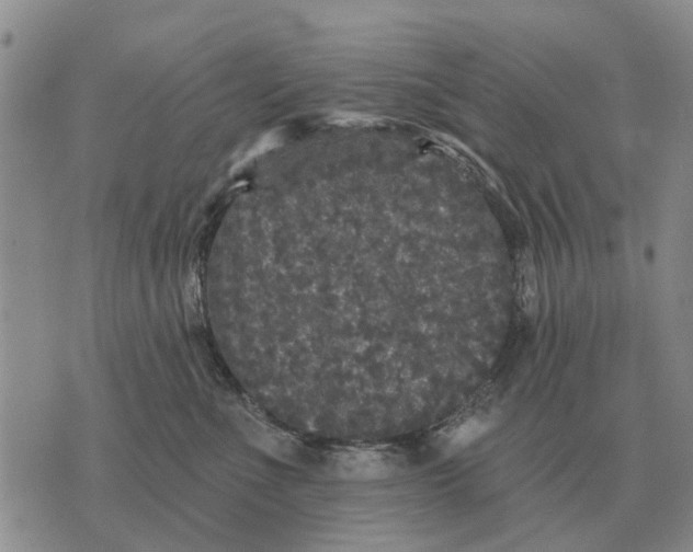 X0000072540523200608041625