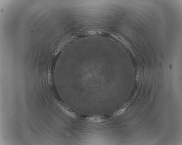 X0000072540524200608041625