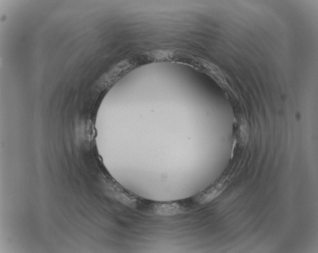 X0000072540525200608041625