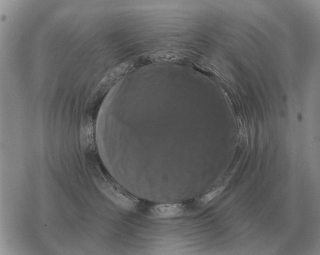 X0000072540526200608041625