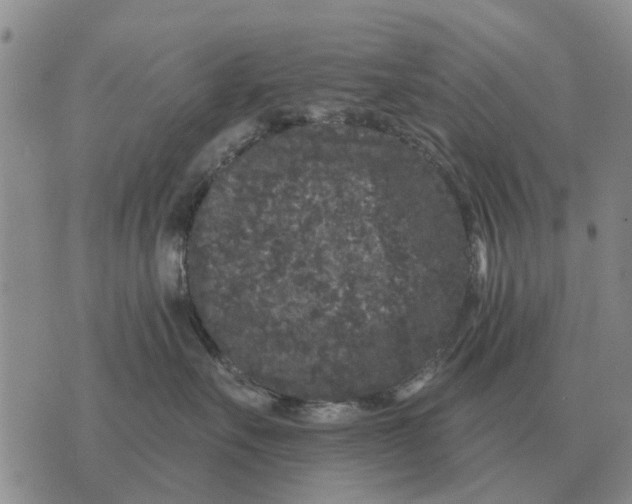 X0000072540527200608041625