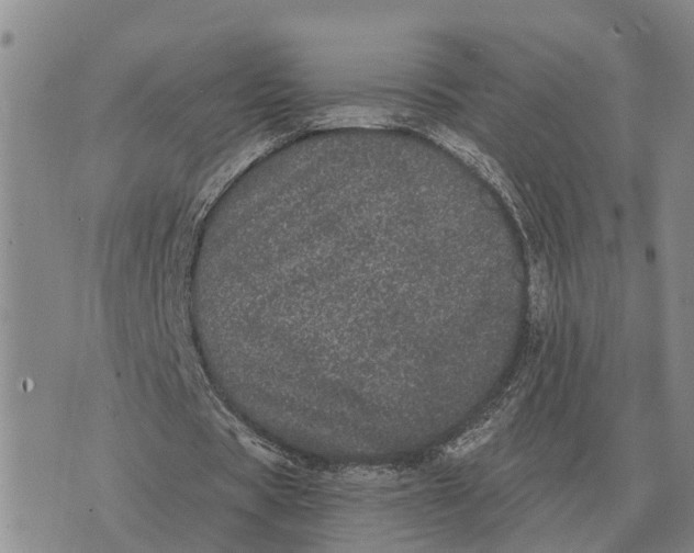 X0000072540529200608041625