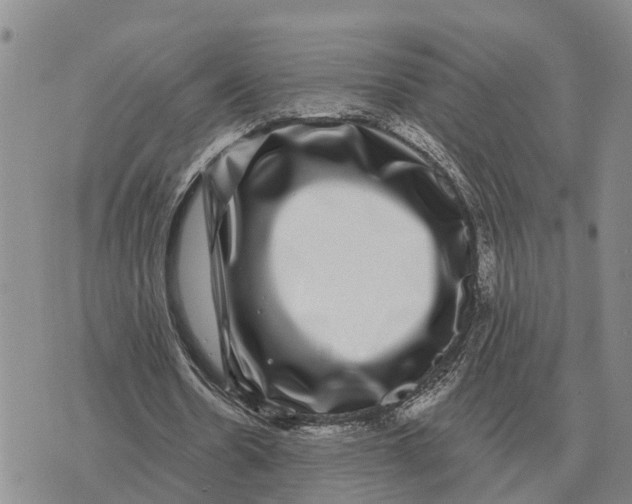 X0000072540530200608041625